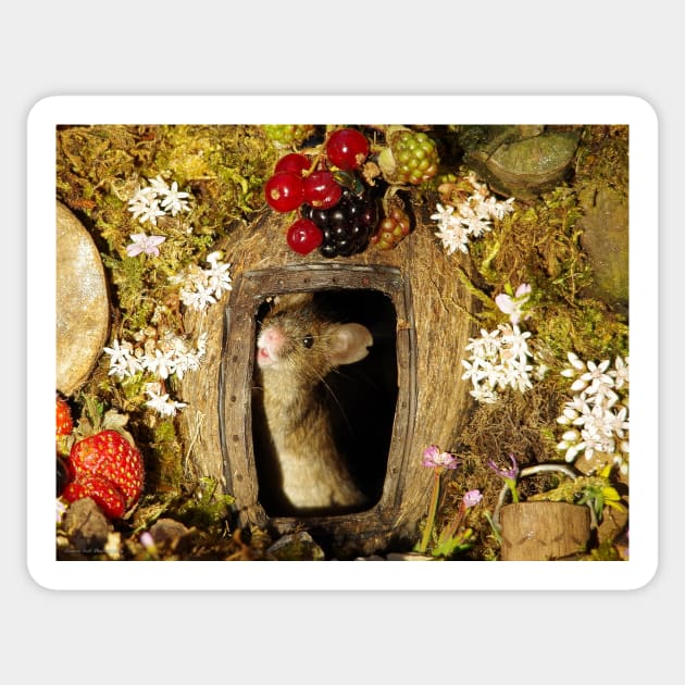 George the mouse in a log pile house Sticker by Simon-dell